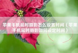 苹果手机延时摄影怎么设置时间（苹果手机延时摄影如何设定时间）