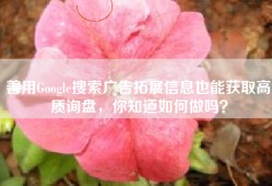善用Google搜索广告拓展信息也能获取高质询盘，你知道如何做吗？