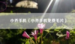小乔手机（小乔手机免费毛片）