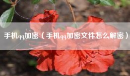 手机qq加密（手机qq加密文件怎么解密）