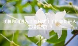 手机如何进入工程模式（手机如何进入工程模式？）