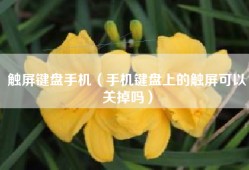 触屏键盘手机（手机键盘上的触屏可以关掉吗）