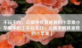 不玩不行，云狐手机就是我的小苹果小苹果手机「不玩不行，云狐手机就是我的小苹果」