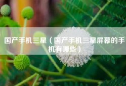 国产手机三星（国产手机三星屏幕的手机有哪些）