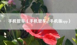 手机管车（手机管车g7手机版app）