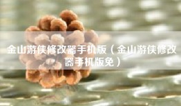 金山游侠修改器手机版（金山游侠修改器手机版免）