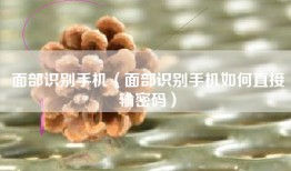 面部识别手机（面部识别手机如何直接输密码）