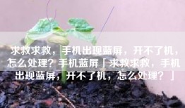 求救求救，手机出现蓝屏，开不了机，怎么处理？手机蓝屏「求救求救，手机出现蓝屏，开不了机，怎么处理？」