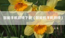 智能手机游戏下载（智能机手机游戏）