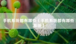 手机系统都有哪些（手机系统都有哪些系统）