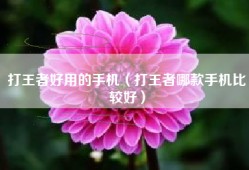 打王者好用的手机（打王者哪款手机比较好）