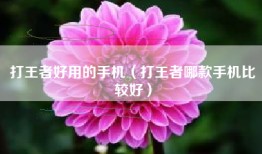 打王者好用的手机（打王者哪款手机比较好）