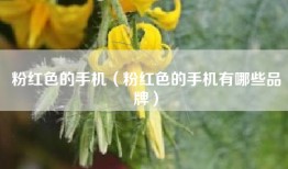粉红色的手机（粉红色的手机有哪些品牌）