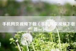手机网页视频下载（手机网页视频下载器ios）