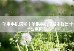 苹果手机信号（苹果手机信号不好是什么原因）