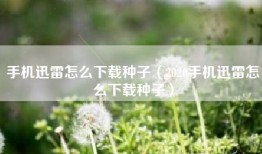 手机迅雷怎么下载种子（2020手机迅雷怎么下载种子）