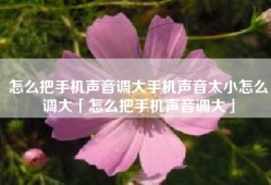 怎么把手机声音调大手机声音太小怎么调大「怎么把手机声音调大」