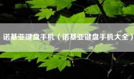 诺基亚键盘手机（诺基亚键盘手机大全）