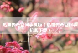 热血传奇官网手机版（热血传奇官网手机版下载）