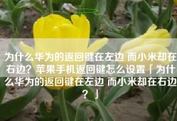 为什么华为的返回键在左边 而小米却在右边？苹果手机返回键怎么设置「为什么华为的返回键在左边 而小米却在右边？」