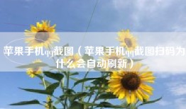 苹果手机qq截图（苹果手机qq截图扫码为什么会自动刷新）