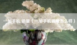 一加手机 销量（一加手机销量怎么样）