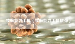 续航能力手机（续航能力手机推荐）