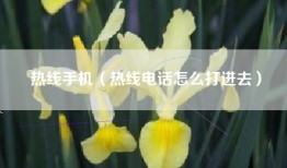 热线手机（热线电话怎么打进去）
