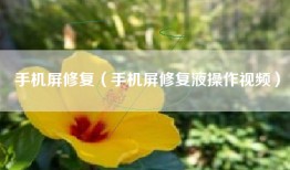 手机屏修复（手机屏修复液操作视频）