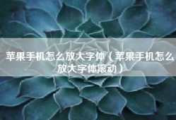 苹果手机怎么放大字体（苹果手机怎么放大字体滚动）