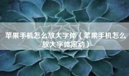 苹果手机怎么放大字体（苹果手机怎么放大字体滚动）