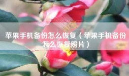 苹果手机备份怎么恢复（苹果手机备份怎么恢复照片）