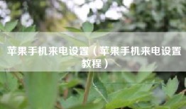 苹果手机来电设置（苹果手机来电设置教程）