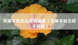 苹果手机怎么不转屏幕（苹果手机怎样不转屏）