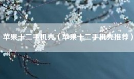 苹果十二手机壳（苹果十二手机壳推荐）