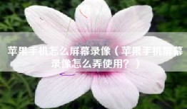 苹果手机怎么屏幕录像（苹果手机屏幕录像怎么弄使用？）