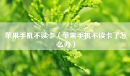 苹果手机不读卡（苹果手机不读卡了怎么办）