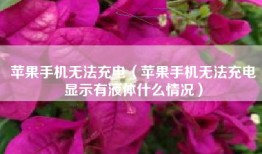 苹果手机无法充电（苹果手机无法充电显示有液体什么情况）