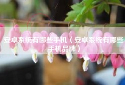 安卓系统有哪些手机（安卓系统有哪些手机品牌）