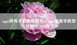 oppo所有手机型号图片（oppo所有手机型号图片 2013年）