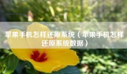 苹果手机怎样还原系统（苹果手机怎样还原系统数据）