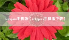 nekopara手机版（nekopara手机版下载）