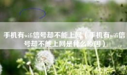 手机有wifi信号却不能上网（手机有wifi信号却不能上网是什么原因）