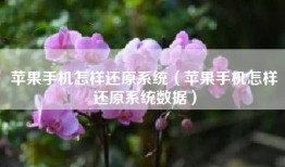 苹果手机怎样还原系统（苹果手机怎样还原系统数据）