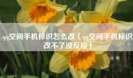 qq空间手机标识怎么改（qq空间手机标识改不了没反应）