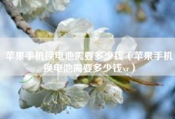 苹果手机换电池需要多少钱（苹果手机换电池需要多少钱xr）