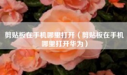 剪贴板在手机哪里打开（剪贴板在手机哪里打开华为）
