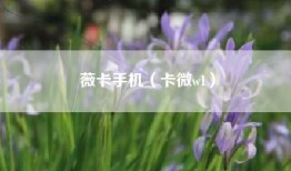 薇卡手机（卡微w1）