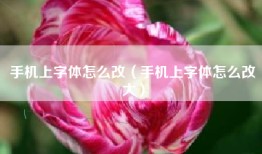 手机上字体怎么改（手机上字体怎么改大）