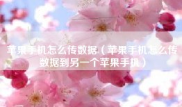 苹果手机怎么传数据（苹果手机怎么传数据到另一个苹果手机）